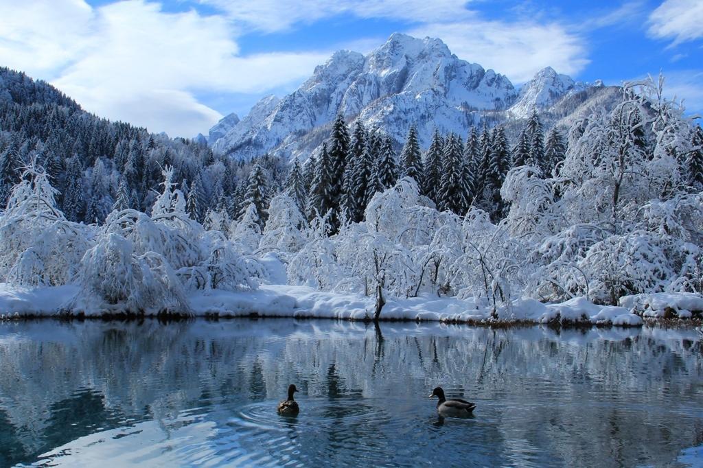 Apartment Stepanjan Bled Oda fotoğraf